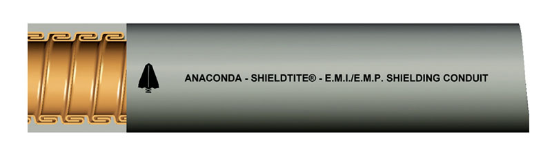 LINKS ACS_Final 120309.indd